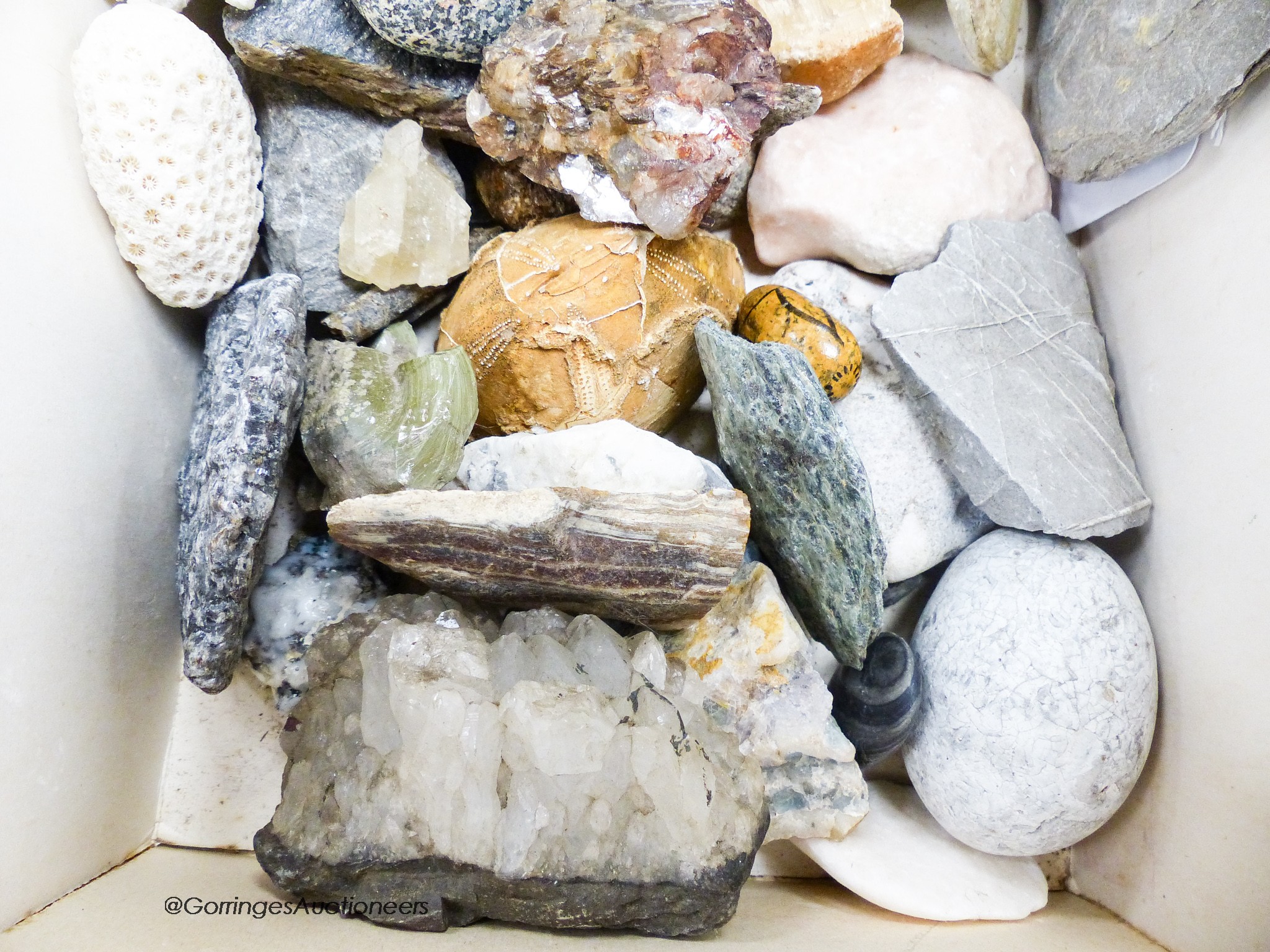 A collection of minerals etc. In two boxes